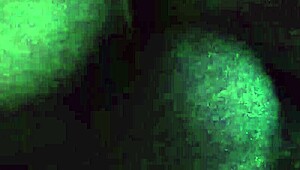 Vamos Foder Gostoso, You Wild Curvy Latina!