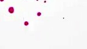 Hot Step Sis Taylor Blake Blows Step Bro for Silence