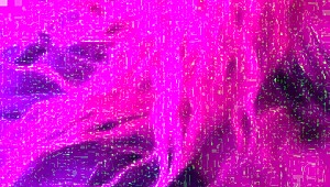 Wife Shares Intimate Moment