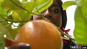 I Got Tag Teamed by Two Sexy Shemales at the Farm!