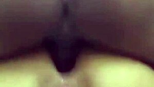 Meu ex marido veio deixar nossa filha e acabei dando o cuzinho pra ele bem gostoso