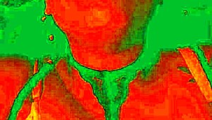 Bluee asks 'lick my pussy harder?' showing pleasure.