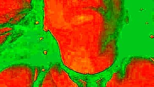 Bluee asks 'lick my pussy harder?' showing pleasure.