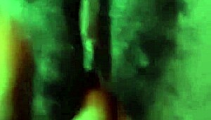 New couples share honeymoon emotions and joys