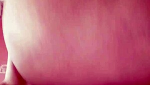 sundaydogood614 - update 209 - vid 20240525 215048 - may 25 2024