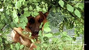 साबाइन पेट्जल, रेट्रो स्टाइल में हॉट हैंडजॉब देना चाहती हो?