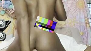 amateurs enjoy a casual fuck on the sofa with a big black cock