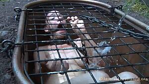 i'm so into t beauty's fuck holes, with blowjobs and toys