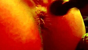 i'm taking my new toy up my ass till i cums, oh god!