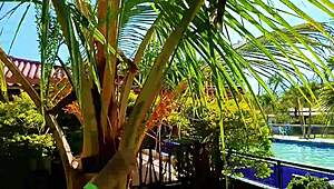 i'm a venezuelan slut flashing at medellín camp. wanna film with my cuckold husband?