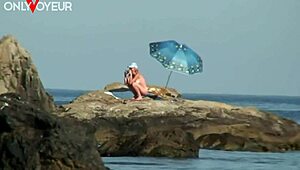 सार्वजनिक