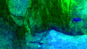 Homemade Scene With A Cute Young Chick And A Swallow