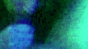 Homemade Scene With A Cute Young Chick And A Swallow