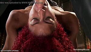 i feel the bdsm training with redhead ebony gangbang