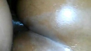 preta sentando com o rabo grande