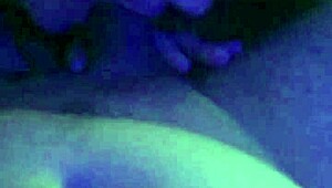 Homemade Scene With A Cute Young Chick And A Swallow