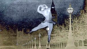 विंटेज पॉर्न में हैरी मिल्फ के साथ डाइव करो