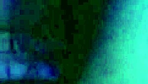 Homemade Scene With A Cute Young Chick And A Swallow