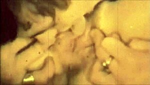 विंटेज थ्रीसम कन्फेशंस विक्टोरियन जेंटलमैन की सीक्रेट लाइफ से