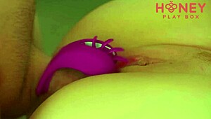 Extreme closeup pussy fucked hard with cock ring!