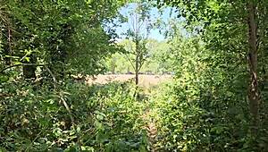 Clapham Common cruising trails adventure in June 2025