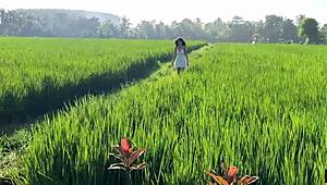 Cute Rice Picker Gets Bent Over For Sex Payment In Public