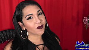 this huge-ass trans babe is solo wanking her big dong