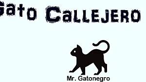 I spotted a stray cat on the street during my voyeur walk