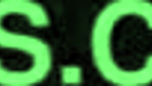 Bbw Latina, You're So Fat and Sexy!