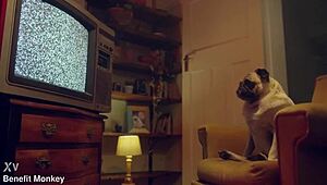 Perfect Blonde Candee Licious Shows Off Body In Lingerie!