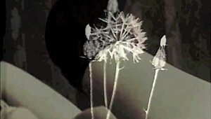 Dark Lantern Entertainment Unveils Erotic Confessions of a Victorian Gentleman’s Sins