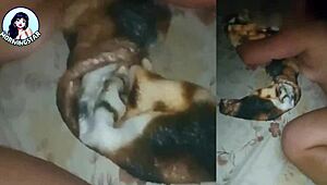 early morning scene with a woman on the bed edge