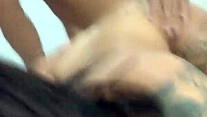 that internet star giving bradock a wild ride until he can't handle it