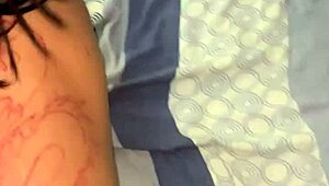 that internet star giving bradock a wild ride until he can't handle it