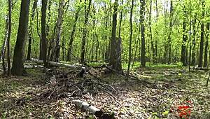 Beautiful Walk in Forest Turns Into Orgasm by Birch Tree!