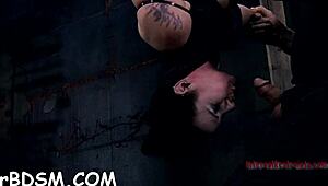 feeling the intense domination from hot babes