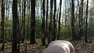 Slave self-spanks outdoors like a sow