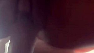 Amateurs Moan Loudly During Passionate Sex!