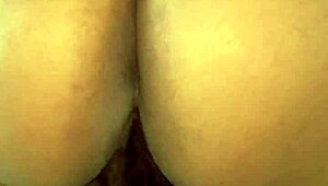 Fat Booty BBW Pornstar Spreading Her Chubby Ass and Showing Off Pretty Butthole