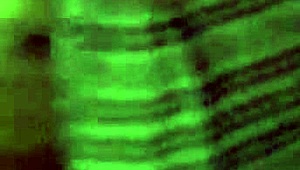 White girl blindfolded sucks dick with handcuffs