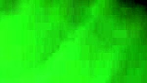 Jade's Shaved Pussy Close-Up In Lingerie