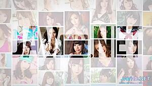 Japanese Pussies For Connoisseurs Vol 15