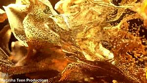 Antonella riva's first interracial double anal gaping