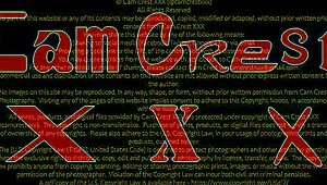 Kinky Massage By Older Guy