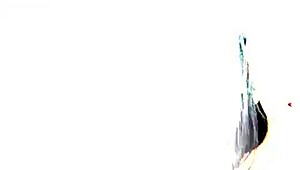 Adelle Sabelle swallows three loads after DP! 😍