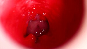 cute redhead fills camera with internal shot in anal scene