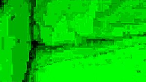 Nut Busting Candids Grab Yo Dick And Enjoy