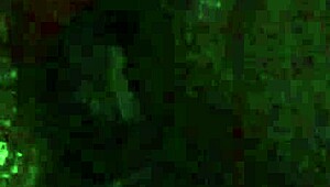 I Love Fucking My Self with Dildo and Toys!