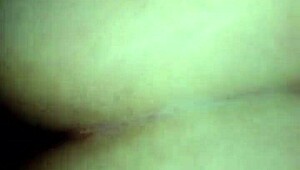 Meet my girlfriend Dawggie, she's so cute and fun! 😊