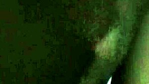 New meme lets you cum into my room endlessly